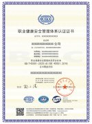 ISO45001职业健康安全中文 带标